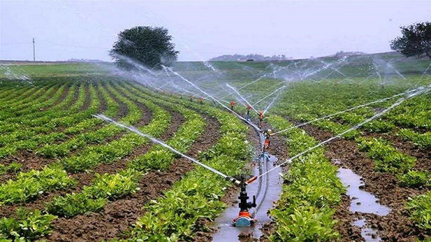 Major goals of agriculture, forestry and fisheries in the Sixteenth Plan