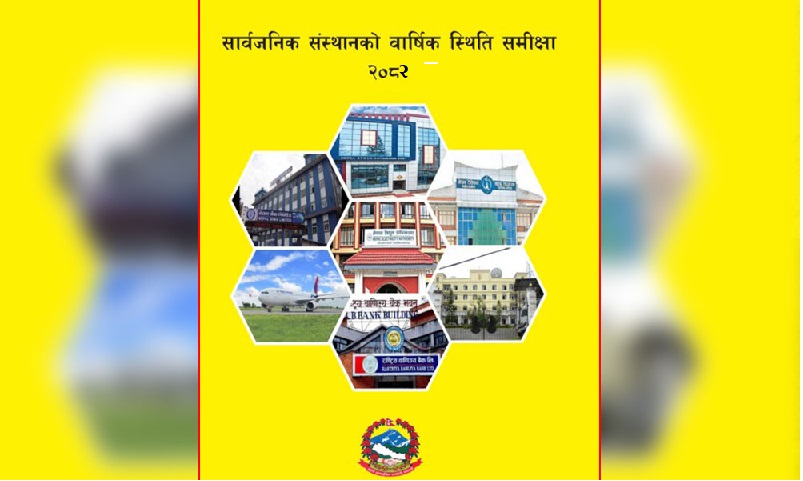 Public Enterprises Review 2082