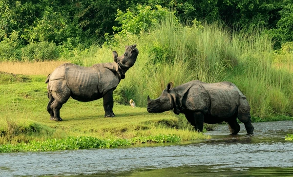 Natural heritage sites listed on the World Heritage List