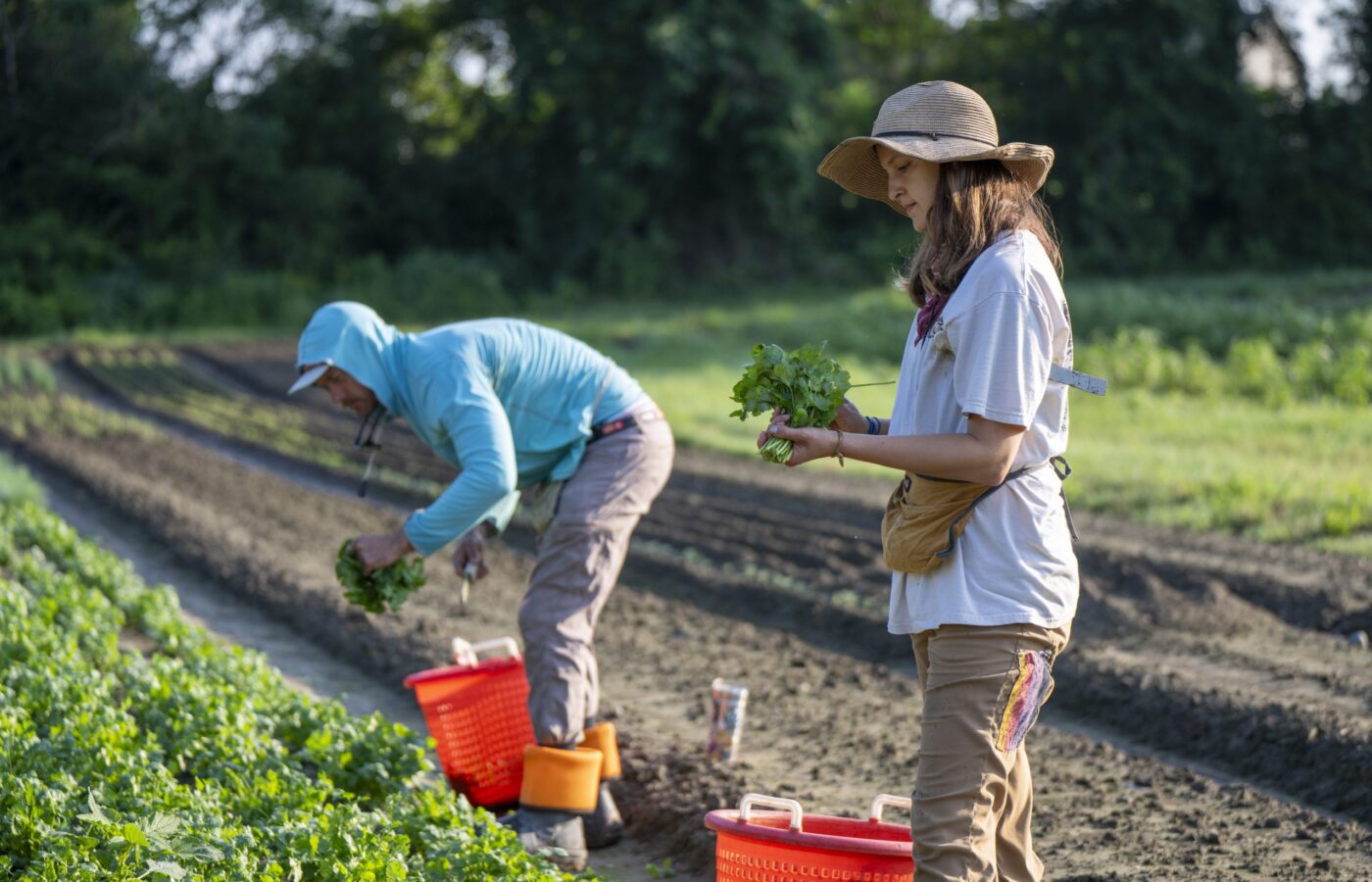 Who is the farmer who will be honored with the National Outstanding Farmer Award?