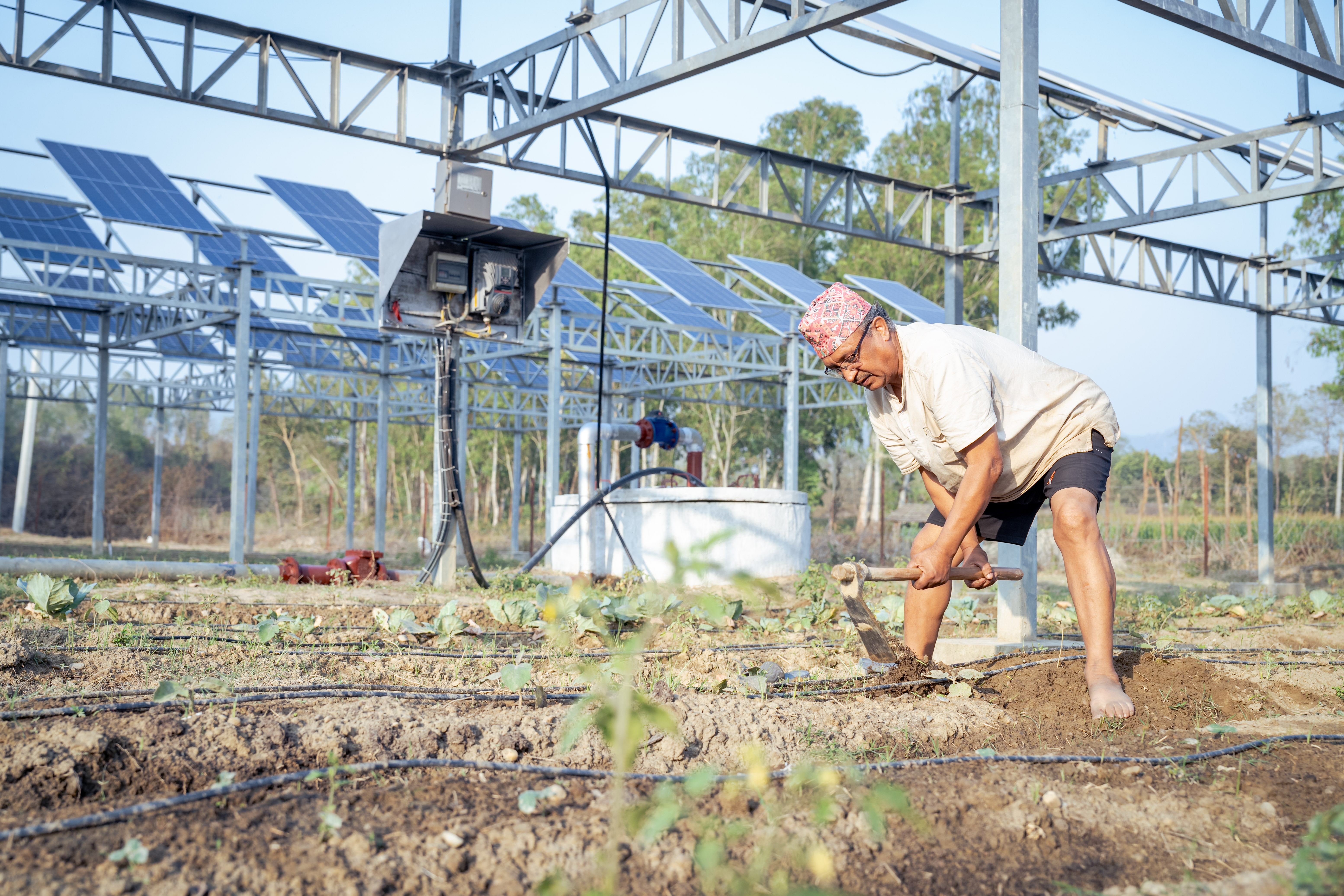Reform programs in the agricultural sector in Nepal:
